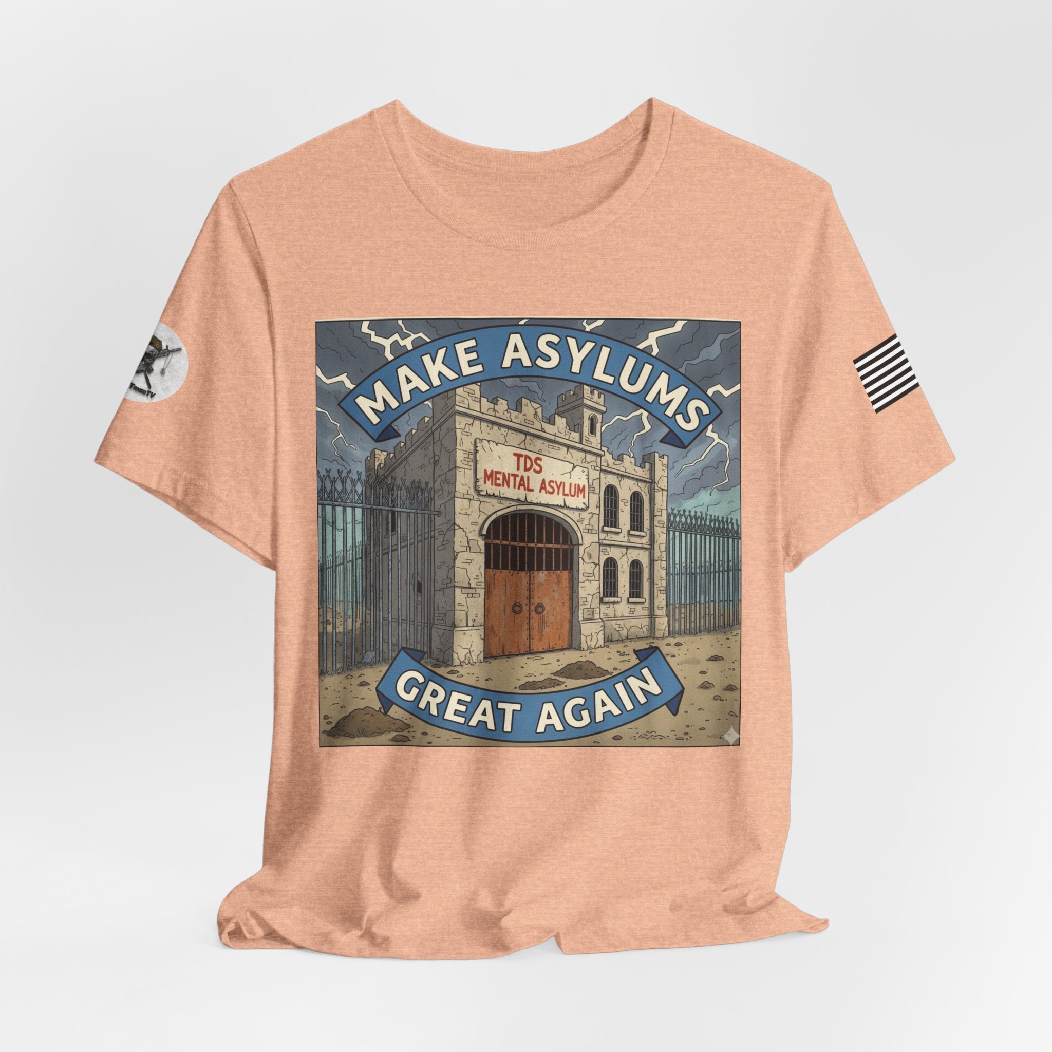 Make Asylums Great Again T-Shirt — Satire Tee
