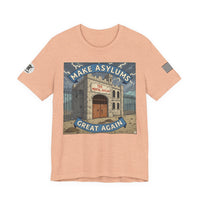 Make Asylums Great Again T-Shirt — Satire Tee